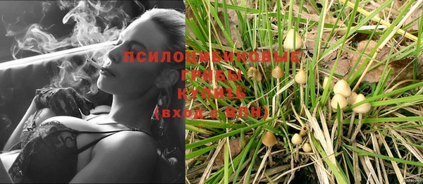 ешки Вязники