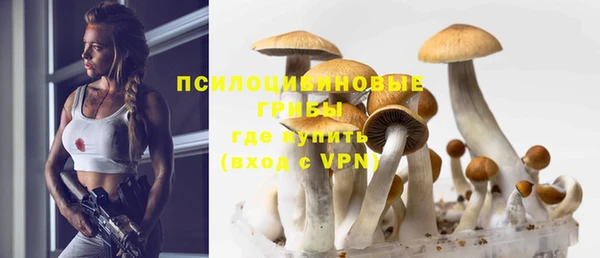 меф Вяземский