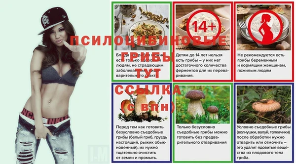 ешки Вязники
