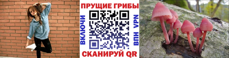 Галлюциногенные грибы ЛСД  Чехов 